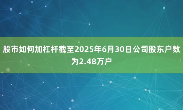 股市如何加杠杆截至2025年6月30日公司股东户数为2.48万户