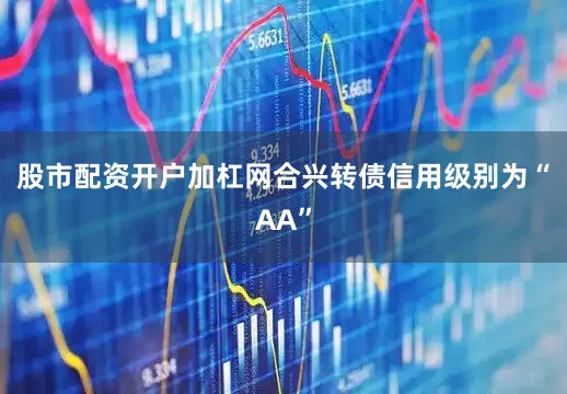 股市配资开户加杠网合兴转债信用级别为“AA”