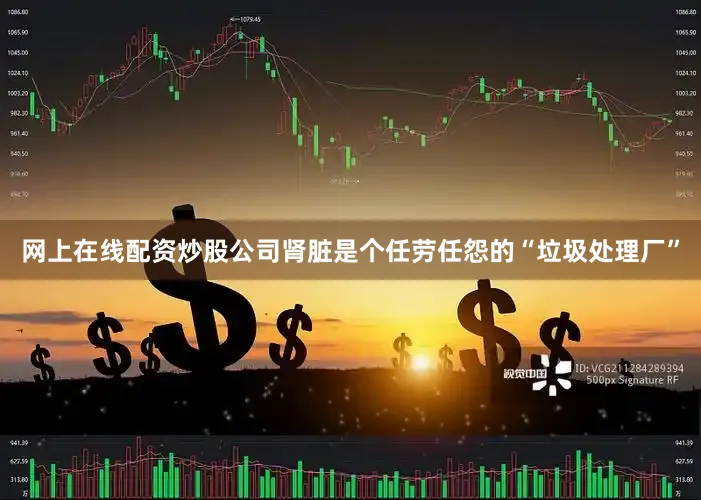 网上在线配资炒股公司肾脏是个任劳任怨的“垃圾处理厂”